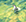 ペンギン