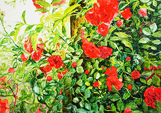 素材の試/雨水の赤