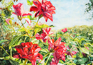 横浜イングリッシュガーデン